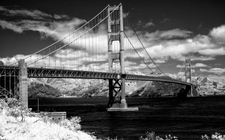 golden gate bridge black and white. This is the Golden Gate Bridge
