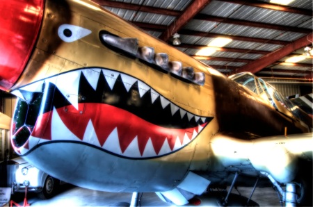 Curtiss P-40 Kittyhawk (HDR)